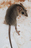 028ad0cb1a61690d9105b7b7321b66754194de60