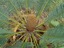2ca29e5ab5b74ad6b167591299c114d9b10fe494