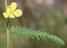 6102b220e7bee4acf70c0238b2665a4543eec8b4