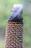 978ac6f20090cdac79e072eea7daacdc0a7b0e1a