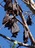 A10840cf80bd716d681a3dccd763648e7361628c