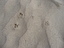 A2363b9e80bd945c3942c8ce290539e5c1a73a2a