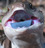 A8355a4f313234454296bddb967995e34306046b