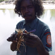 river prawn