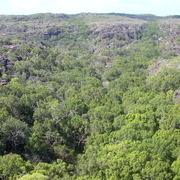 anbinik