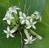 Ddd1507f6f07e54ae9fd85b72a36da6c5ba76311