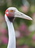 Eb1b95a8b119360d437a6bb1573e77763ae521d3