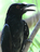 F24fb5805d8b9bef4ed0c0f8e59c4154d748a49f